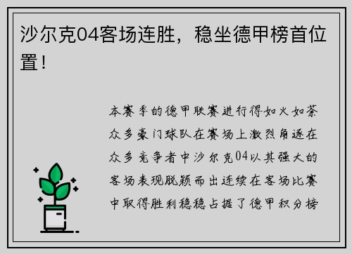 沙尔克04客场连胜，稳坐德甲榜首位置！